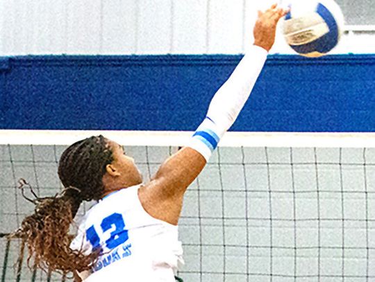 14-3A Div. 2 Volleyball announces All District list