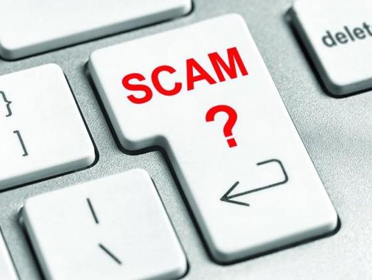 A Texarkana, Texas, doctor has pleaded guilty today to a federal fraud violation