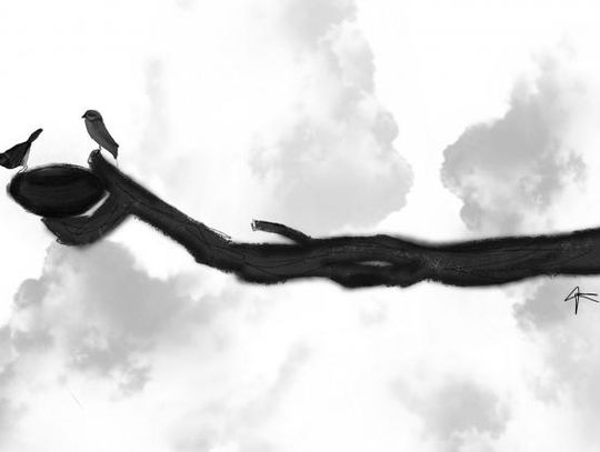 Aiming for the Clouds