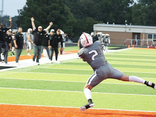 Bears, Hornets notch wins in season openers