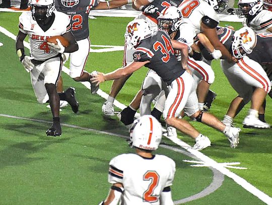 Bears, Hornets open seasons with big wins
