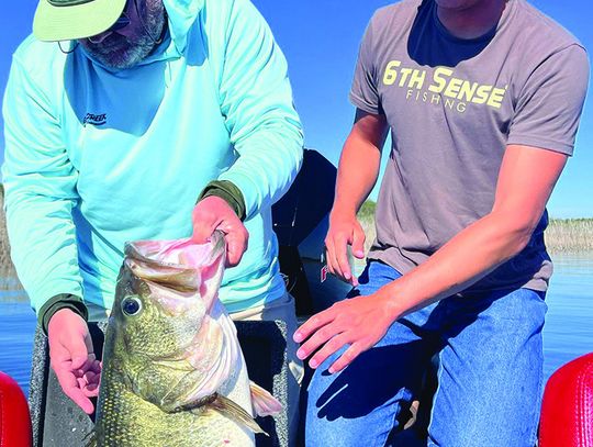 Big Bass Central