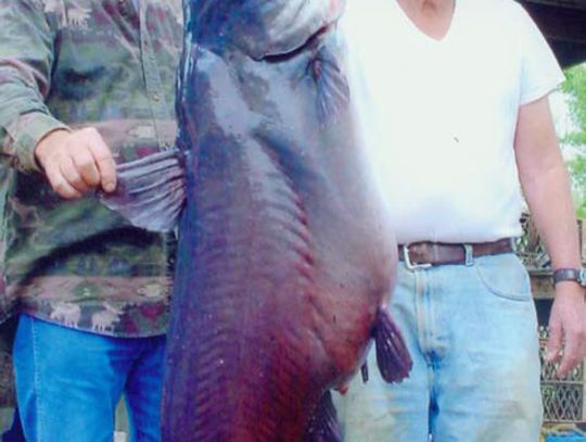 Big Kitties---The list of Texas lakes that have produced whopper-sized cats is a long one