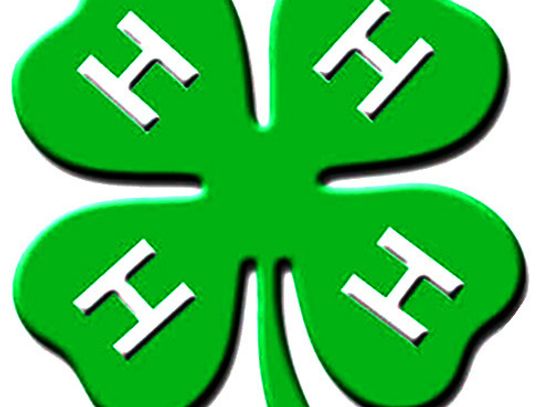 Bowie County 4-H sowing into the lives of our future generations
