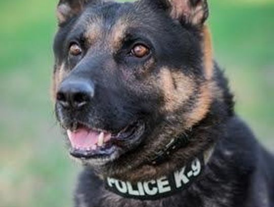 Bowie County Burglary Arrests