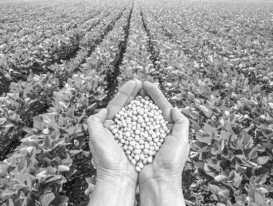 Bowie County Master Gardeners & Texas A&M – Texarkana Present:“Getting Started with Seed Saving