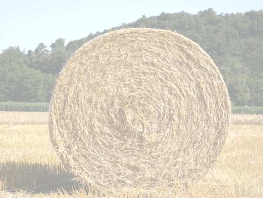 BOWIE COUNTY SWCD HAY EXPO