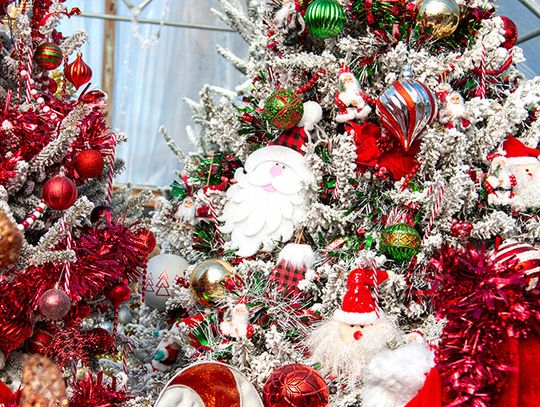 Christmas tidings at Little Country Greenhouse