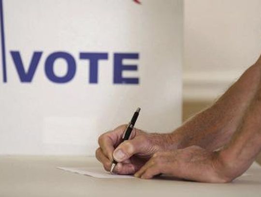 Council hears presentation on new voting system