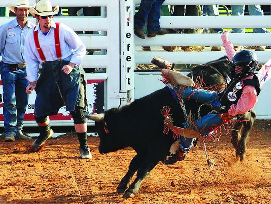 Cowtown Coliseum to Host Six-Day, Two-Weekend 2023 Ultimate Bullfighting World Finals from Dec. 7-16