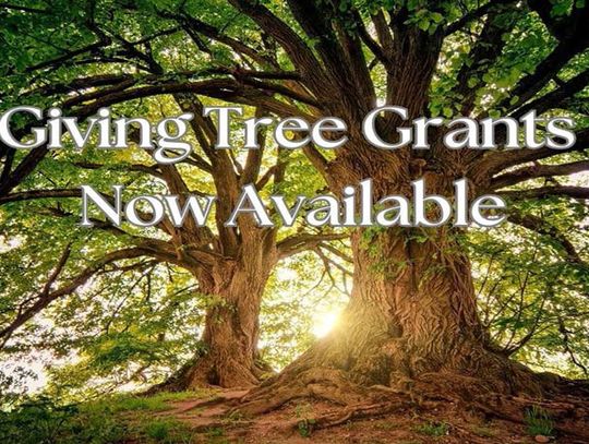 Deadline is Friday for tree grants