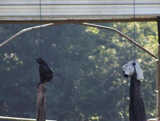 DeKalb fire, effigies garner statewide attention