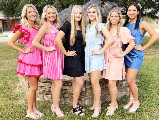 DeKalb High names HoCo Court