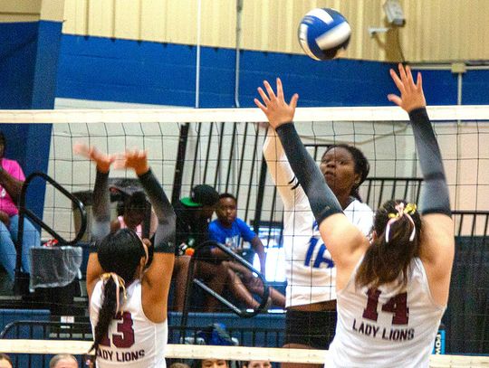District championship for the Lady Lions