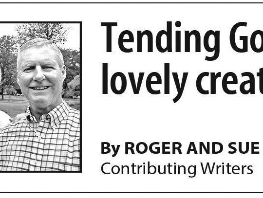 “Do Beekeepers Have Enemies?”