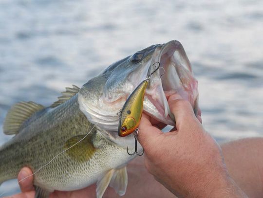 Fall fishing heating up as water temperatures chill on lakes across the state