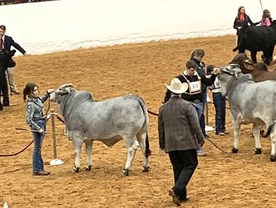 Four States Agricultural Exposition scheduled for February 13