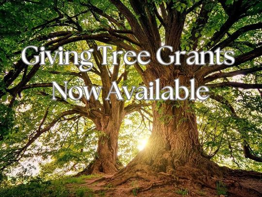 Giving Tree grants now available