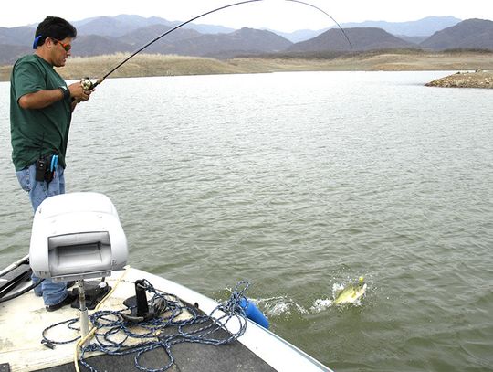 Going Old School - A look at some good structure spots always worth a few casts