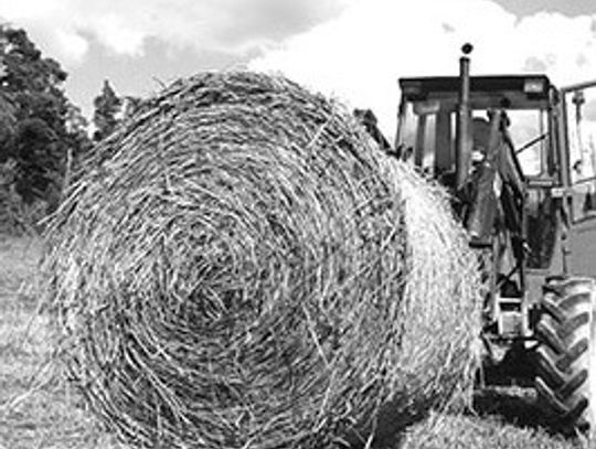 Hay Expo coming in September
