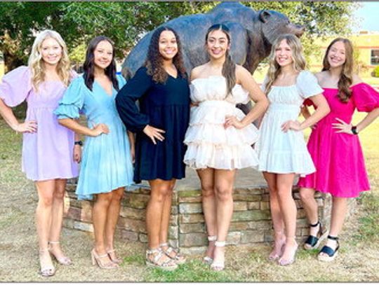 Homecoming courts named at area schools