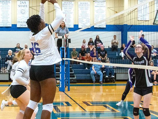 Hooks and NB battle with Queen City