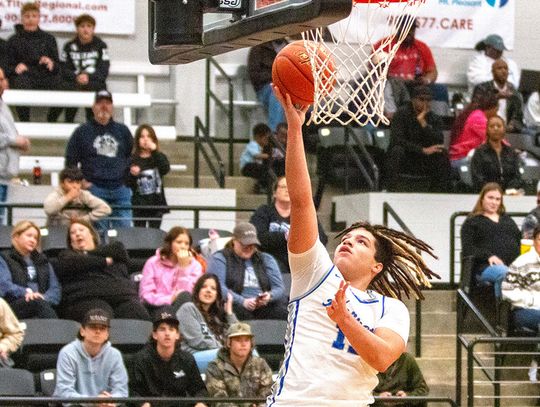 Hornets advance to Regional Semis with Area round win