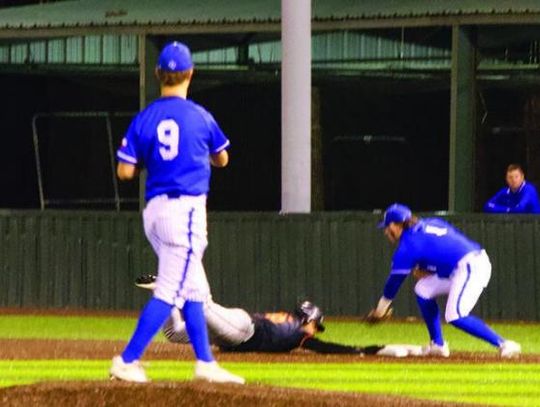 Hornets blank Bears and Dragons last week