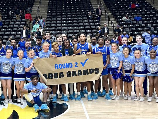 Hornets dominate their way to Area Championship