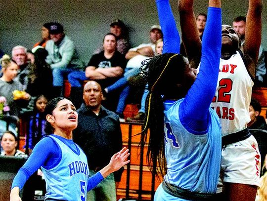 Hornets leave Bears feeling stung