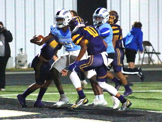 Hornets, Lions and Pirates advance