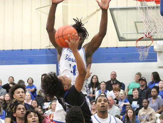 Hornets quench Dragons, Bears