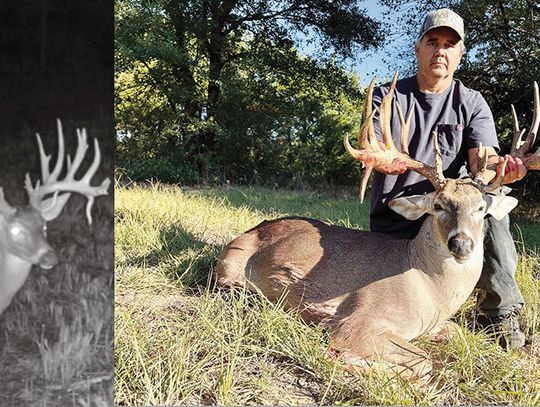 Kaufman County Giant - Scurry hunter sets new county record with remarkable free range 22 pointer