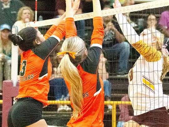 Lady Bears earn big wins to hold onto top spot
