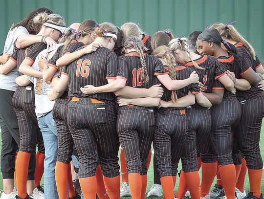 Lady Bears, Lady Hornets see seasons end