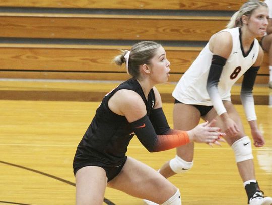 Lady Bears lead the way in district standings