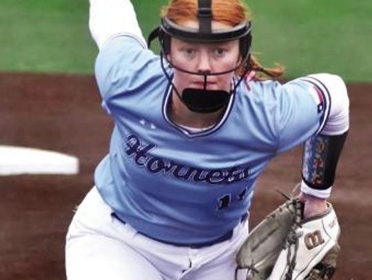 Lady Hornets advance to Area round