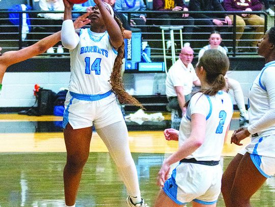 Lady Hornets and Lady Bears see championship seasons end