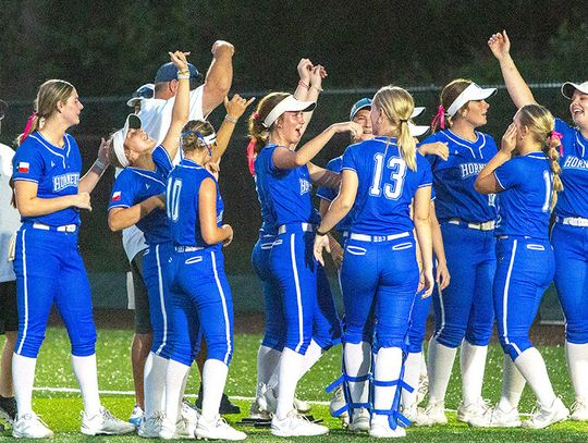 Lady Hornets claim district championship