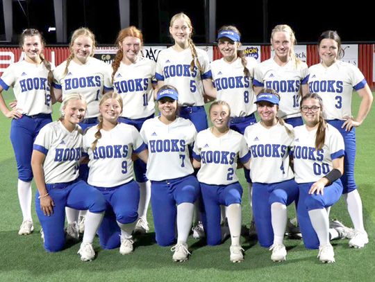 Lady Hornets fall at Area
