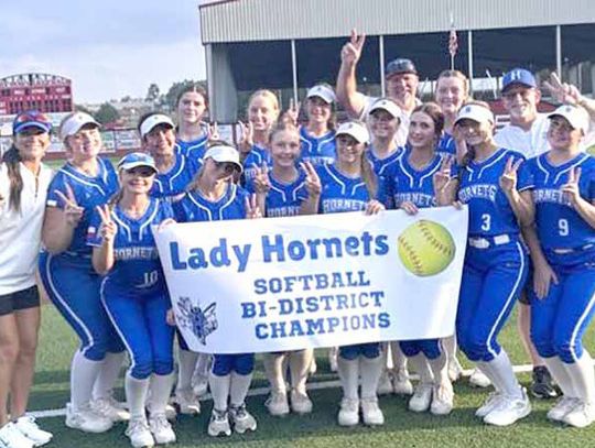 Lady Hornets, Lady Bears advance