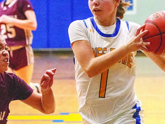 Lady Hornets, Lady Pirates earn district championships