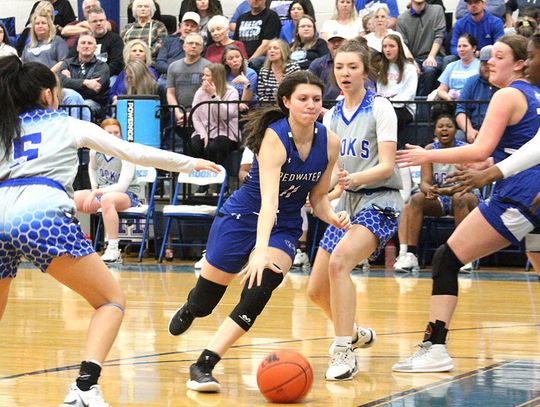 Lady Hornets sting Redwater