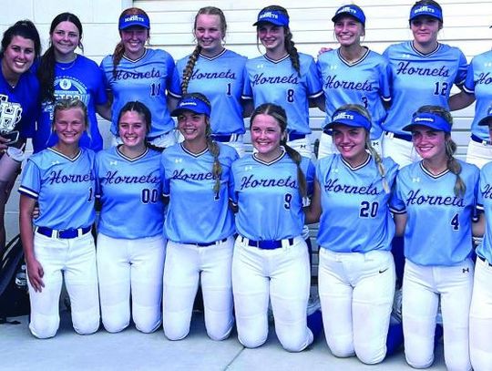 Lady Hornets win Area Championship