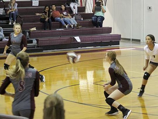 Lady Lions and Lady Hornets win