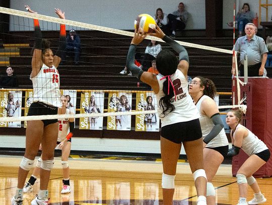 Lady Lions chewing up opponents to lead district standings