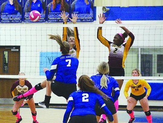 Lady Lions earn district crown