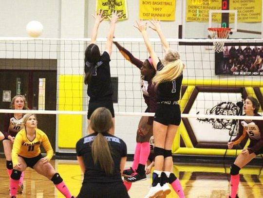 Lady Lions, Lady Pirates win