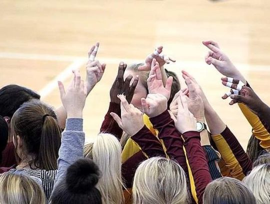 Lady Lions' volleyball season ends