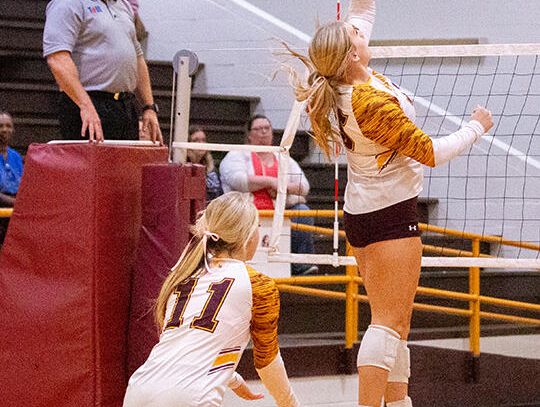 Lady Lions win and they are in